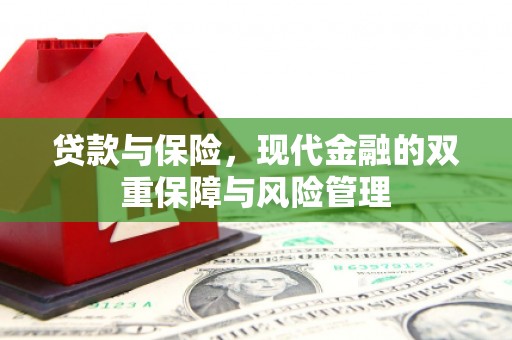 龙潭贷款与保险，现代金融的双重保障与风险管理