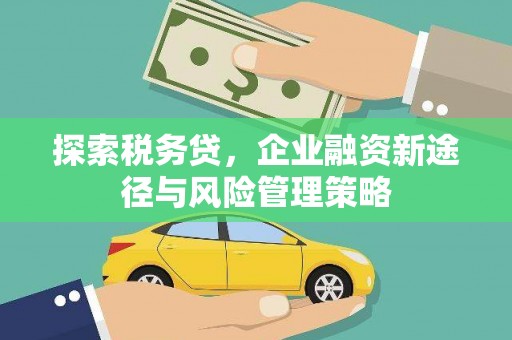 龙潭探索税务贷，企业融资新途径与风险管理策略