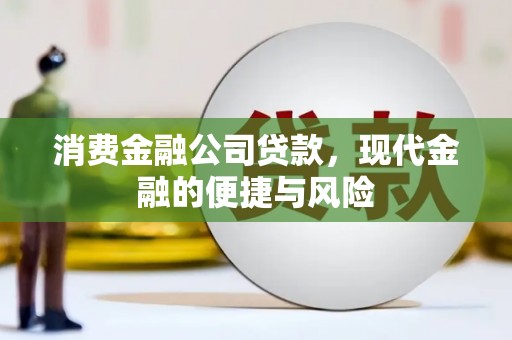 龙潭消费金融公司贷款，现代金融的便捷与风险