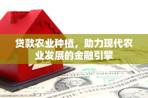 龙潭贷款农业种植，助力现代农业发展的金融引擎