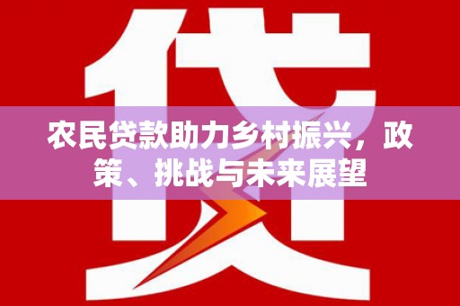 龙潭农民贷款助力乡村振兴，政策、挑战与未来展望