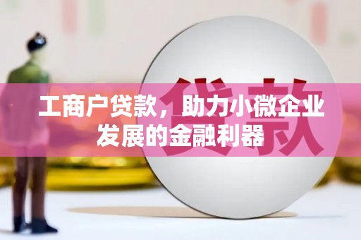 龙潭工商户贷款，助力小微企业发展的金融利器