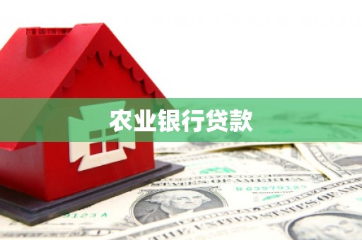 龙潭农业银行贷款