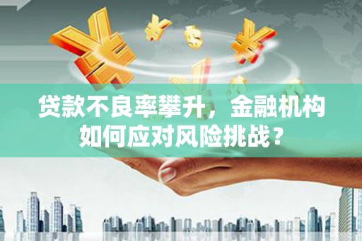 龙潭贷款不良率攀升，金融机构如何应对风险挑战？