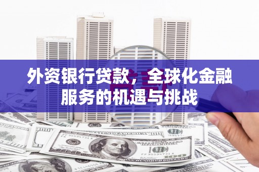 龙潭外资银行贷款，全球化金融服务的机遇与挑战