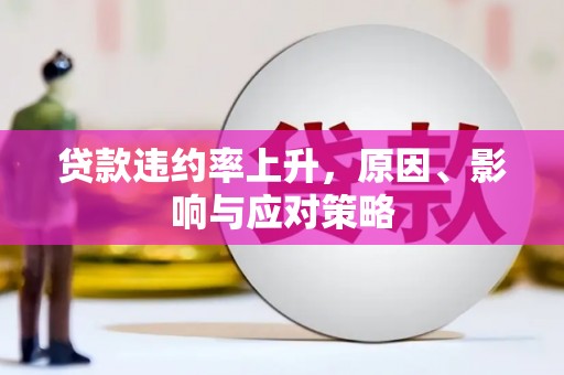 龙潭贷款违约率上升，原因、影响与应对策略
