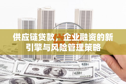 龙潭供应链贷款，企业融资的新引擎与风险管理策略