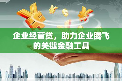 龙潭企业经营贷，助力企业腾飞的关键金融工具