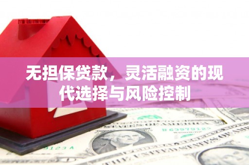 龙潭无担保贷款，灵活融资的现代选择与风险控制