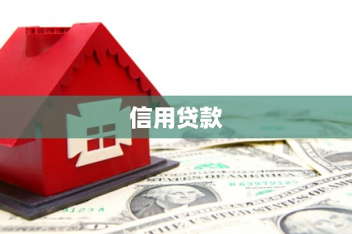 龙潭信用贷款