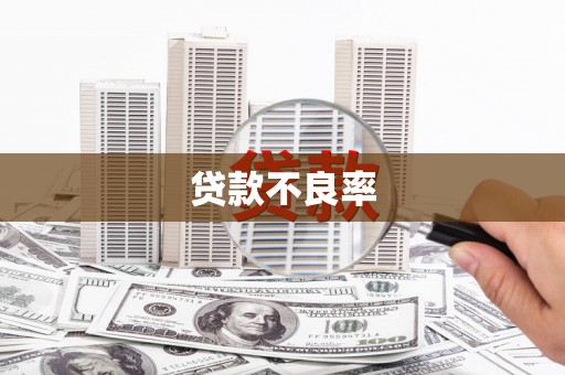 龙潭贷款不良率