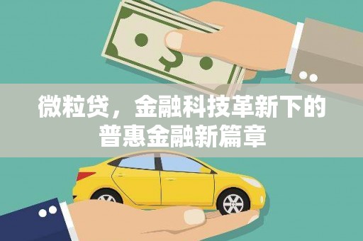 龙潭微粒贷，金融科技革新下的普惠金融新篇章
