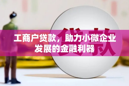 龙潭工商户贷款，助力小微企业发展的金融利器