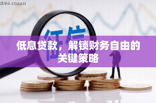 龙潭低息贷款，解锁财务自由的关键策略
