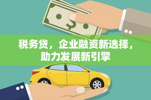 龙潭税务贷，企业融资新选择，助力发展新引擎