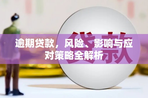 龙潭逾期贷款，风险、影响与应对策略全解析