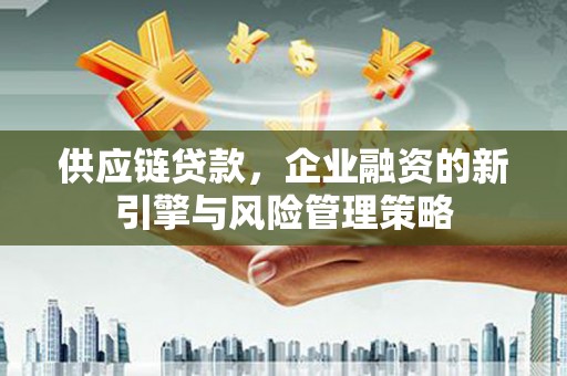 龙潭供应链贷款，企业融资的新引擎与风险管理策略