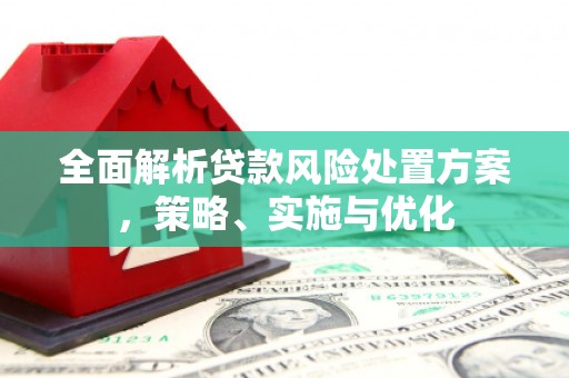 龙潭全面解析贷款风险处置方案，策略、实施与优化