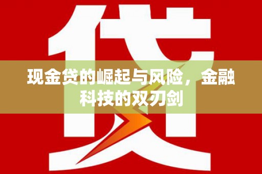 龙潭现金贷的崛起与风险，金融科技的双刃剑
