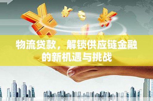 龙潭物流贷款，解锁供应链金融的新机遇与挑战