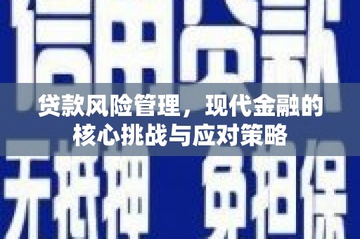 龙潭贷款风险管理，现代金融的核心挑战与应对策略