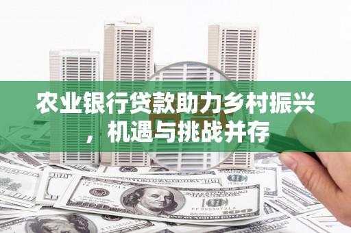 龙潭农业银行贷款助力乡村振兴，机遇与挑战并存