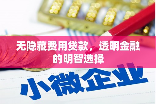 龙潭无隐藏费用贷款，透明金融的明智选择