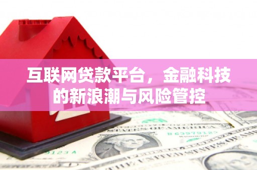 龙潭互联网贷款平台，金融科技的新浪潮与风险管控