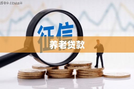 龙潭养老贷款