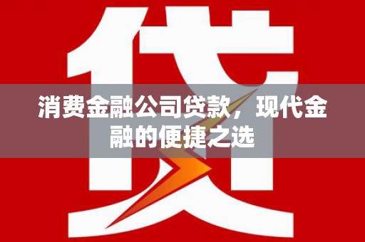龙潭消费金融公司贷款，现代金融的便捷之选
