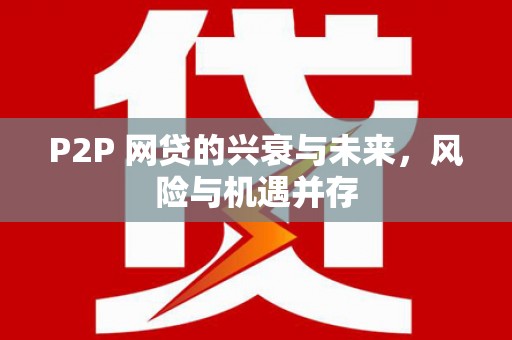 龙潭P2P 网贷的兴衰与未来，风险与机遇并存