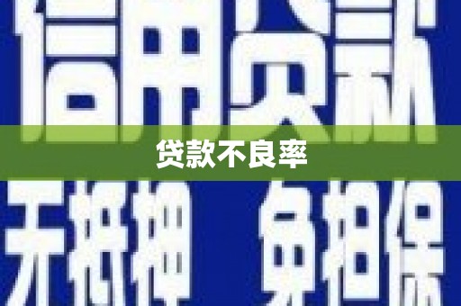 龙潭贷款不良率