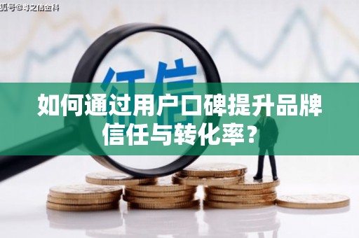 龙潭如何通过用户口碑提升品牌信任与转化率？