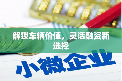 龙潭解锁车辆价值，灵活融资新选择