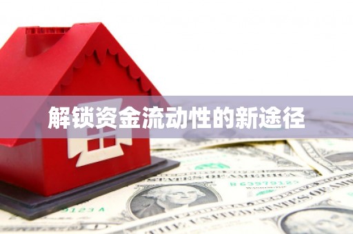 龙潭解锁资金流动性的新途径