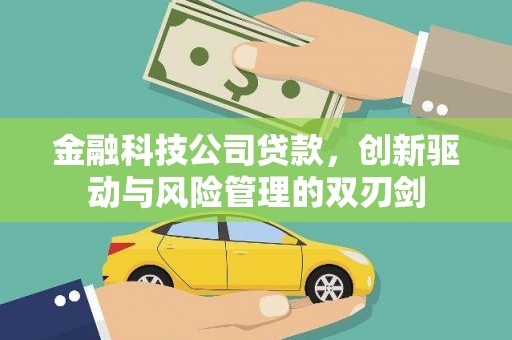 龙潭金融科技公司贷款，创新驱动与风险管理的双刃剑